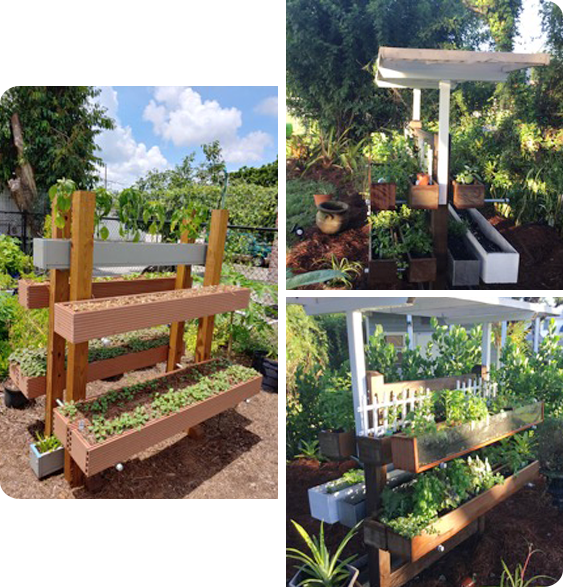 Kitchen Storm Update: Grow Your Own Food   The Ultimate Guide! - no0twae